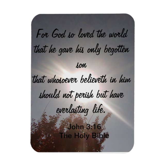 Íman John 3:16 Magnet (Vertical)