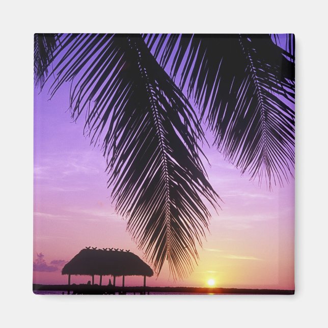 Íman John Pennekamp State Park, Florida Keys, Key (Frente)