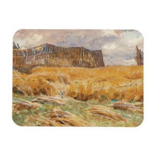 Íman John Singer Sargent - campo camuflado em France