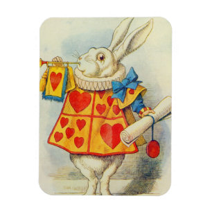 Íman John Tenniel   Coelho Branco