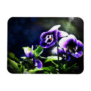 Íman Johnny Roxo Salta Ups e Estrelas