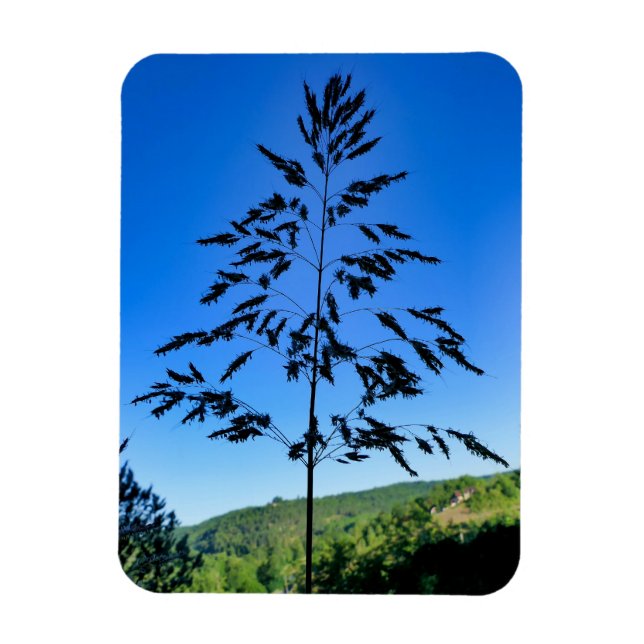 Íman Johnson Grass (Vertical)