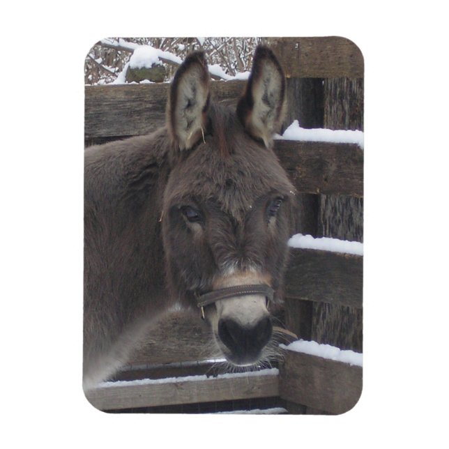 Íman Jonathan (Vertical)