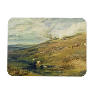 Íman Joseph Mallord William Turner   Dartmoor: O ácido