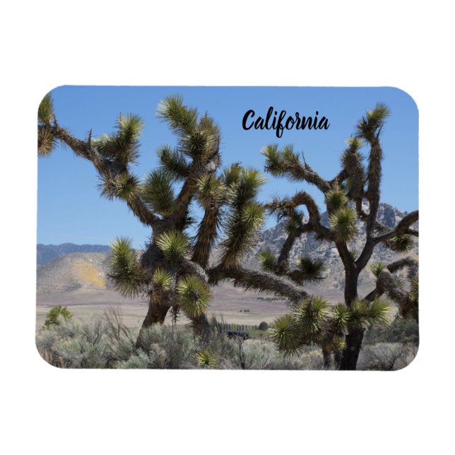 Íman Joshua Tree na Califórnia (Horizontal)
