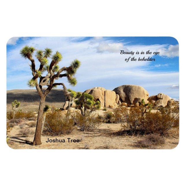 Íman Joshua Tree no deserto de Mojave 4"x6" (Horizontal)