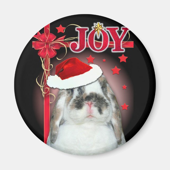 Íman Joy Xmas Magnet (Frente)