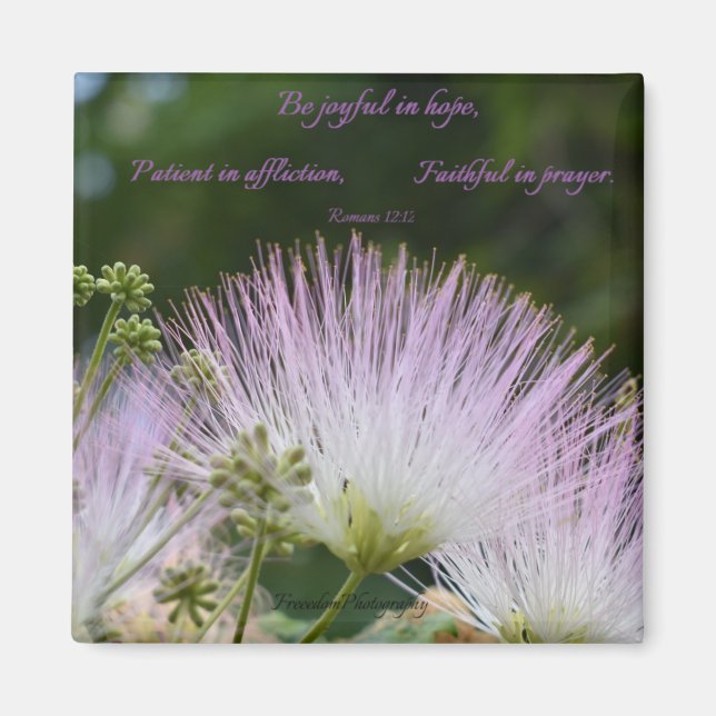 Íman Joyful in Hope Magnet (Frente)