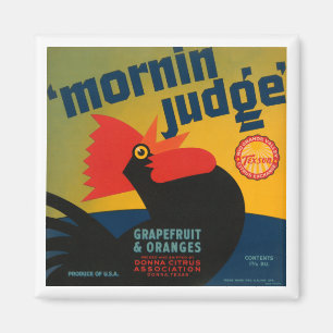Íman Juiz de Mornin