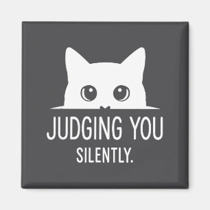 Íman Julgando Você Silenciosamente - Gato Engraçado