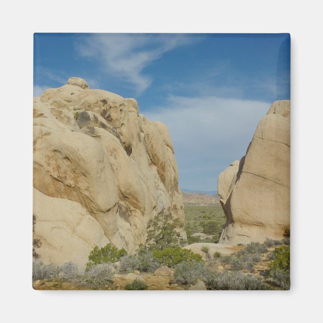 Íman Jumbo Rocks no Parque Nacional Joshua Tree (Frente)