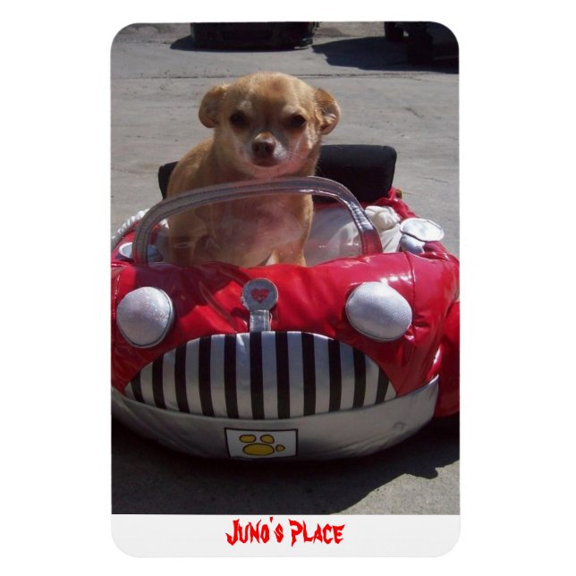 Íman Juno Magnet (Vertical)