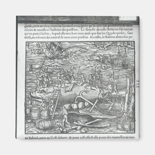 Íman Juntando uma baleia (Frente)