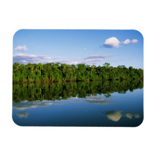 Íman Juruena, Brasil. Margem florestada de rio refletid