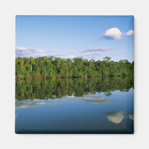 Íman Juruena, Brasil. Margem florestal do rio refletida