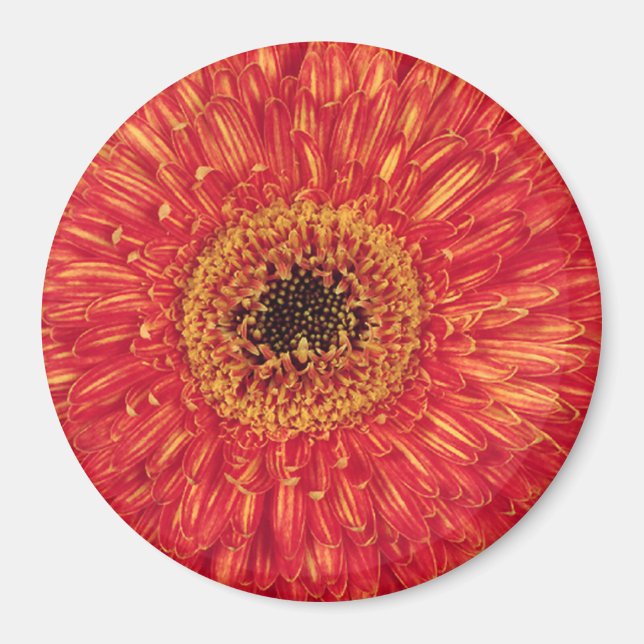 Íman KA-Bloom! (Frente)