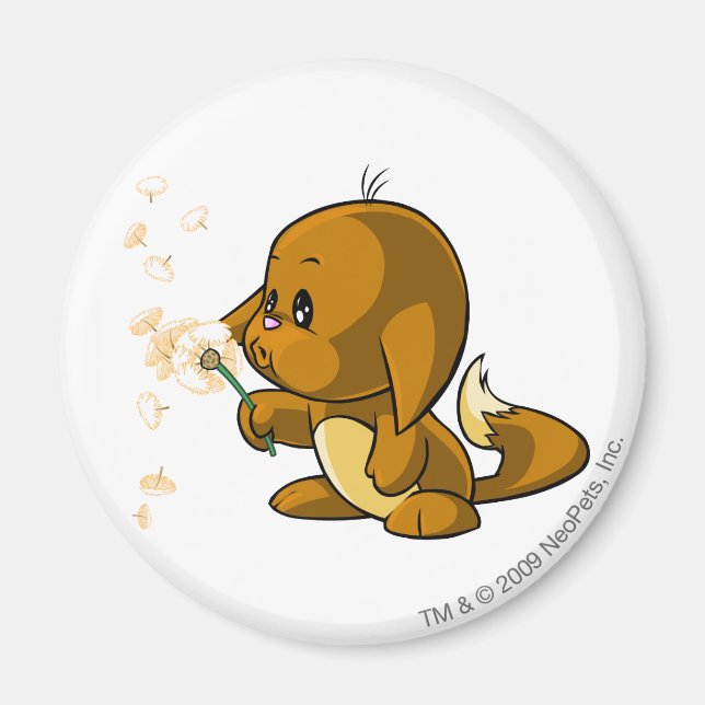 Íman Kacheek Brown (Frente)