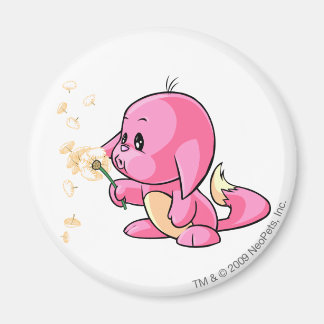 Íman Kacheek Pink