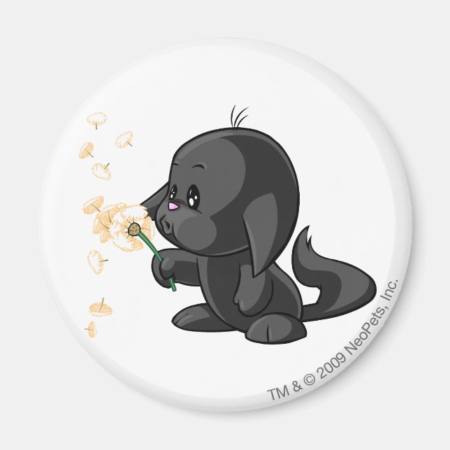 Íman Kacheek Shadow (Frente)