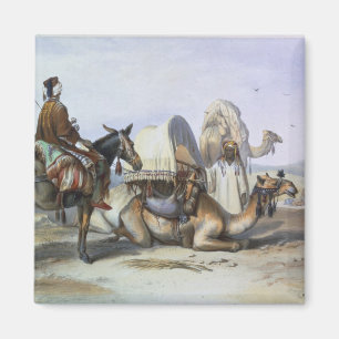 Íman Kafila com um camelo que carrega um Hodesh,