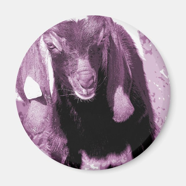 Íman Kalvin 2 (Frente)
