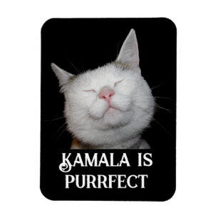 Íman Kamala é Purrfect