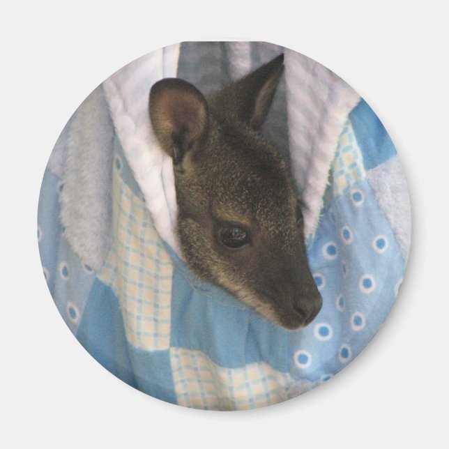 Íman Kangaroo (Frente)