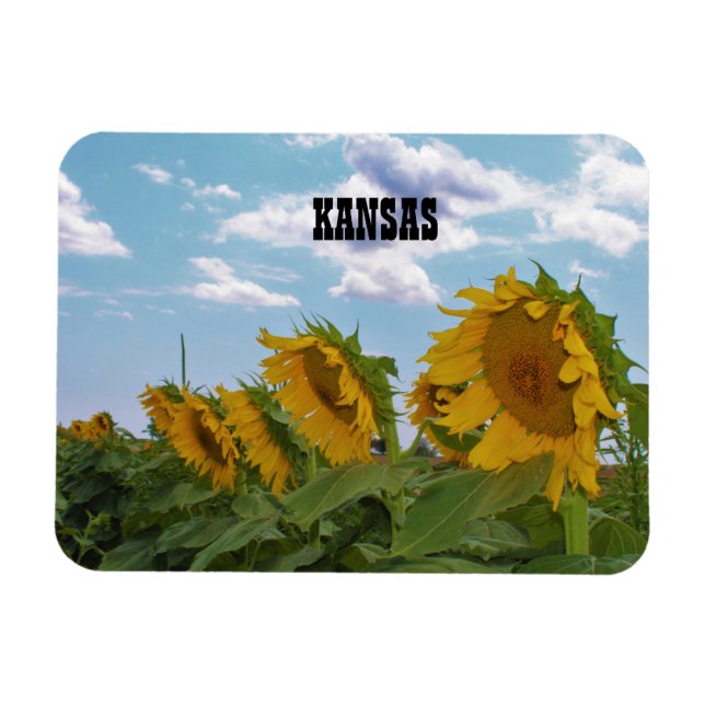 Íman Kansas Sunflower (Horizontal)