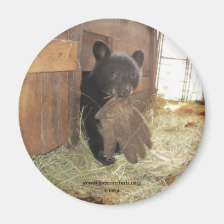 Íman Kapalua com luva - ímã