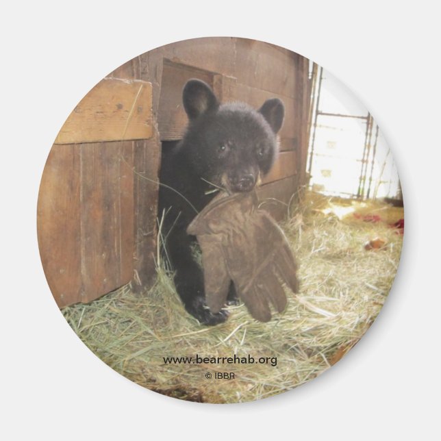 Íman Kapalua com luva - ímã (Frente)