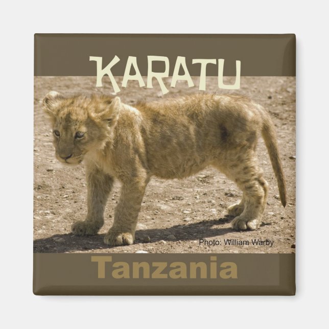 Íman Karatu Tanzânia Africa Imã de geladeira Lion Cub (Frente)