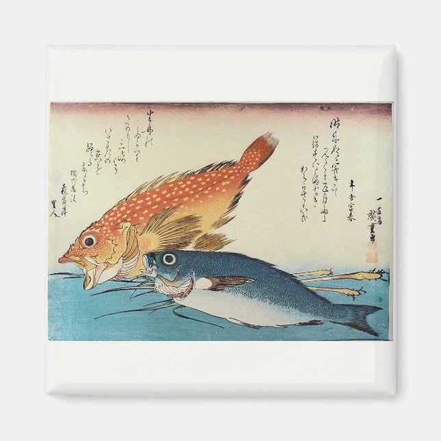 Íman Kasogo & Himedai - Peixe Japonês de Hiroshige (Frente)