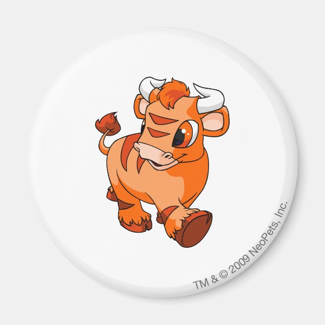 Íman Kau Orange (Frente)