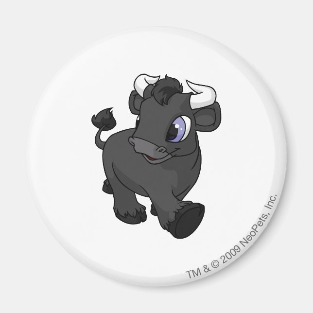 Íman Kau Shadow (Frente)