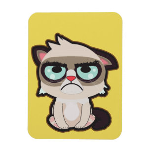 Íman Kawaii, o divertimento e o gato grimmy engraçado