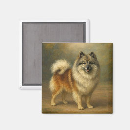 Íman Keeshond