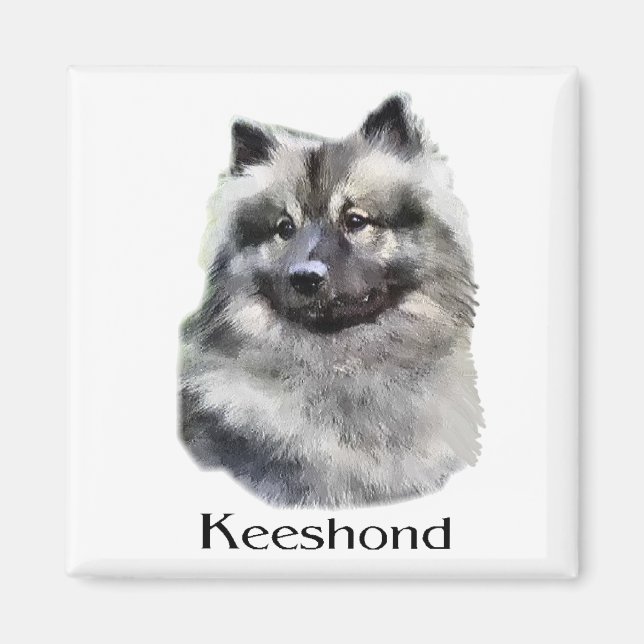 Íman Keeshond Art Gifts (Frente)