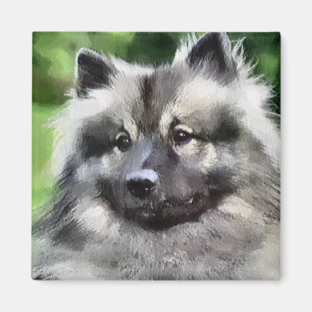 Íman Keeshond Art Gifts (Frente)