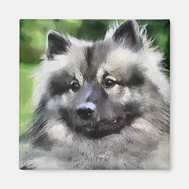 Íman Keeshond Art Gifts (Frente)