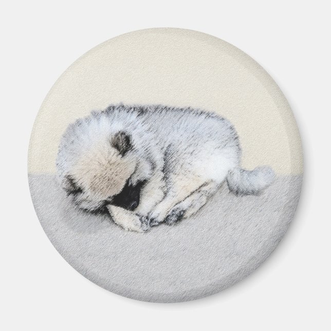 Íman Keeshond Dormindo Puppy Pintura Original (Frente)