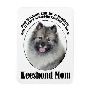 Íman Keeshond Mãe