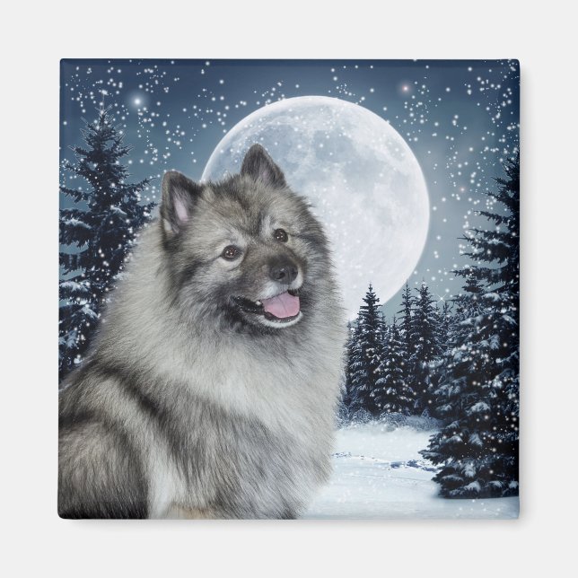 Íman Keeshond Magnet (Frente)