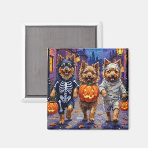 Íman Keeshond Pedindo Doces em Fantasias de Halloween