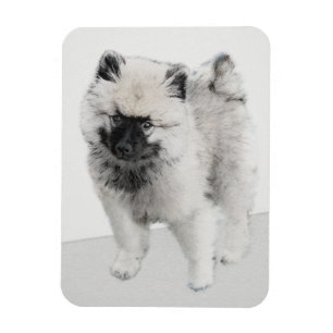 Íman Keeshond Puppy Drapy - Arte Cachorro Original Boni