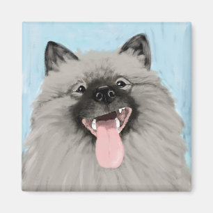 Íman Keeshond sorridente