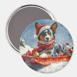 Íman Kelpie australiano em Sledge Deixe-o nevar Natal