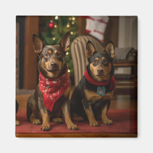 Íman Kelpie Australiano junto à Lareira Natal