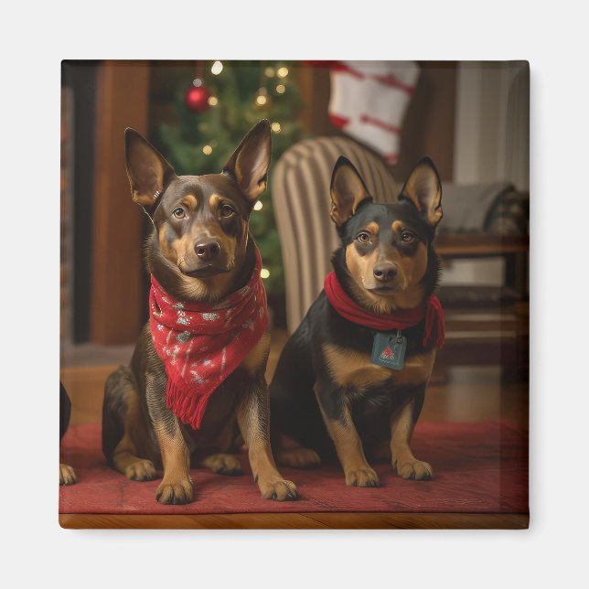 Íman Kelpie Australiano junto à Lareira Natal (Frente)