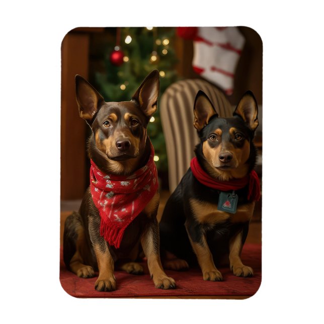 Íman Kelpie Australiano junto à Lareira Natal (Vertical)