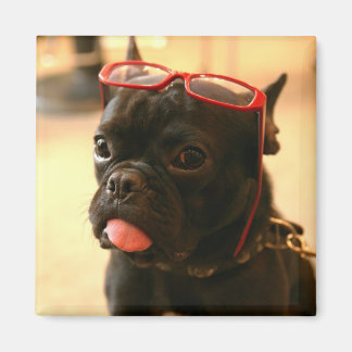 Íman Kenken Magnets A